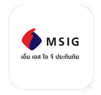 เอ็ม เอส ไอ จี
